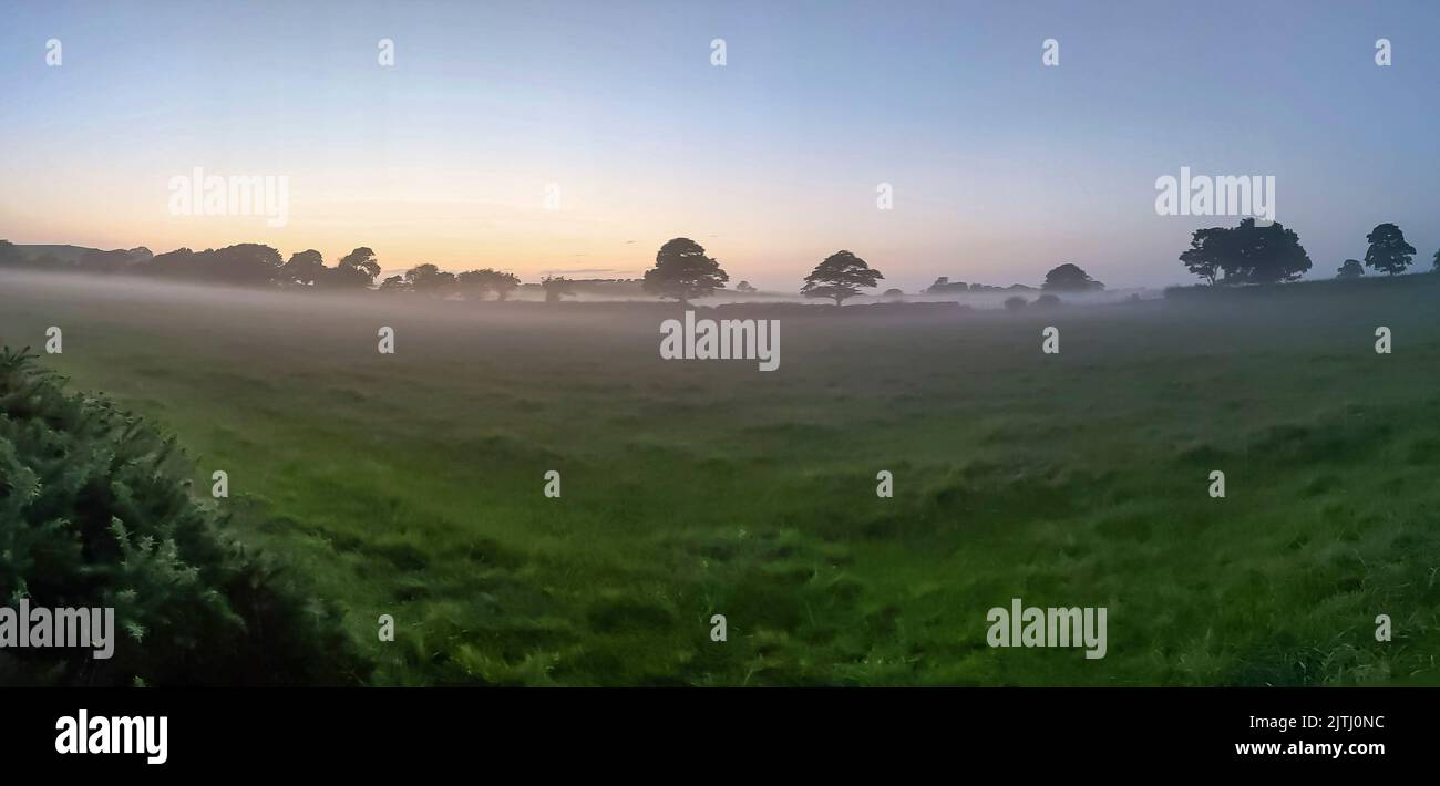 Foschia su campi con alberi durante l'alba al tramonto in Irlanda del Nord, Regno Unito Foto Stock