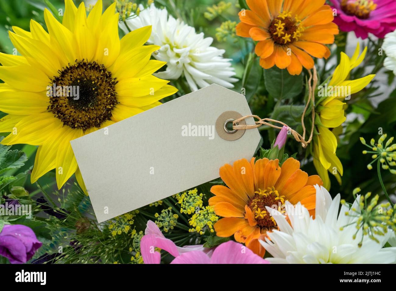 Biglietto d'auguri con spazio copia e fiori estivi colorati Foto Stock
