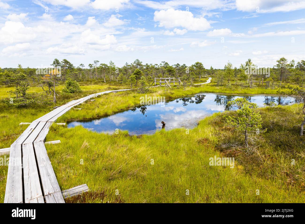 Sentiero sul lungomare su una palude nella Grande palude di Kemeri Bog in Lettonia Foto Stock
