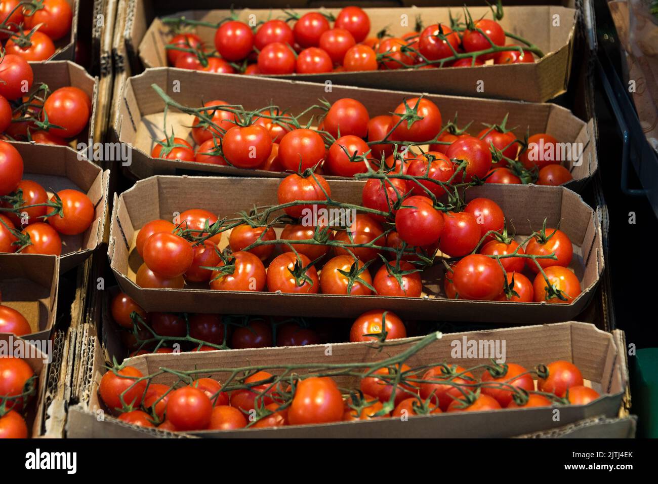 Pomodori freschi rossi in scatole al banco del supermercato. Pomodori ciliegini su rami in scatole di carta artigianale in vendita Foto Stock