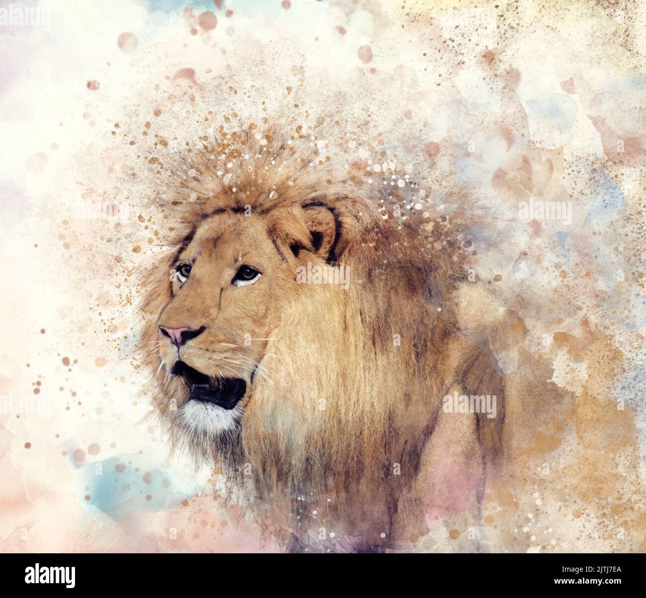 Lion Head. Pittura ad acquerello Foto Stock