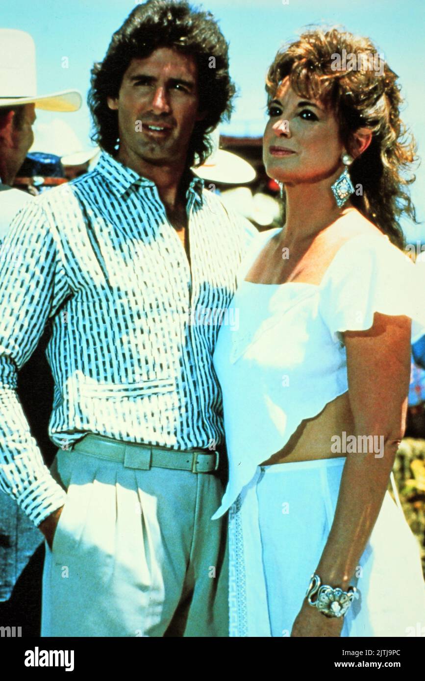 Dallas, Fernsehserie, USA 1978 - 1991, Darsteller: Jared Martin, Linda Gray Foto Stock