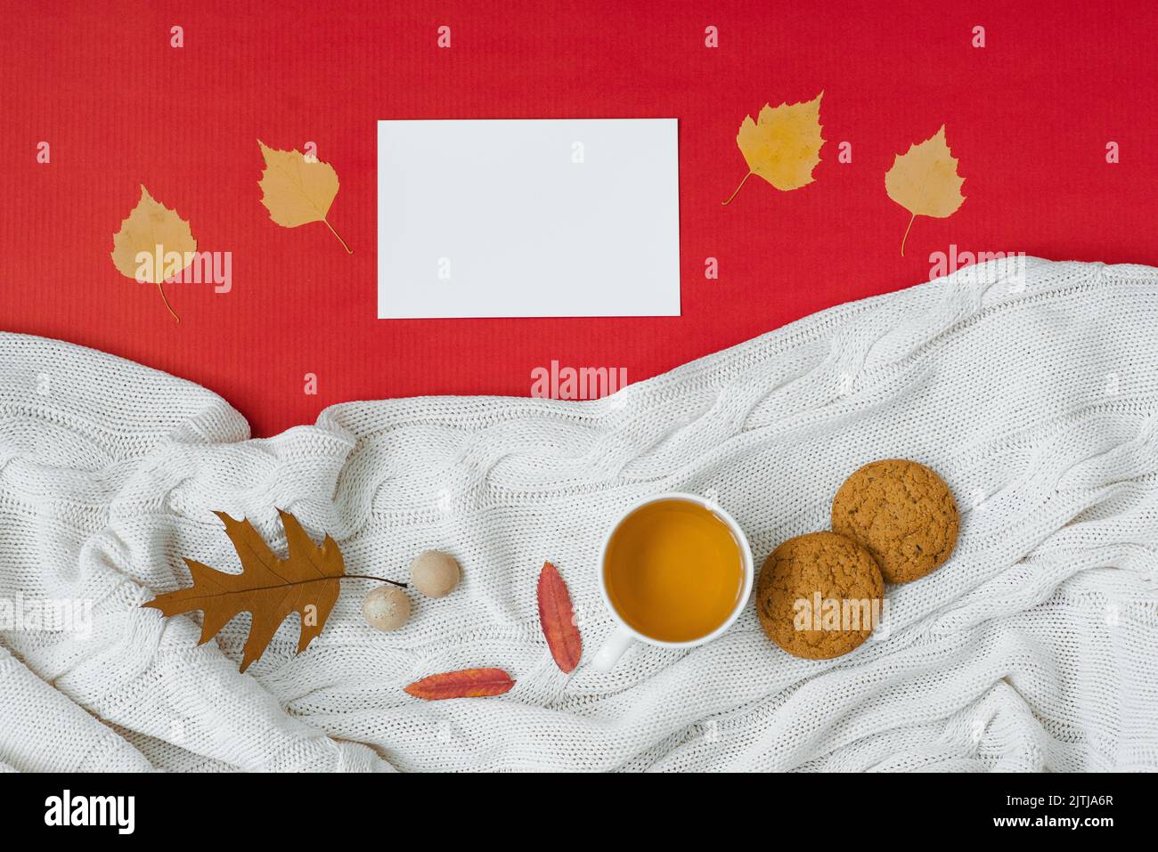 Autunno, il concetto di Ringraziamento. Una tazza di tè, foglie autunnali cadute, una coperta a maglia, un foglio bianco pulito per il testo su un fondo rosso.Cop Foto Stock