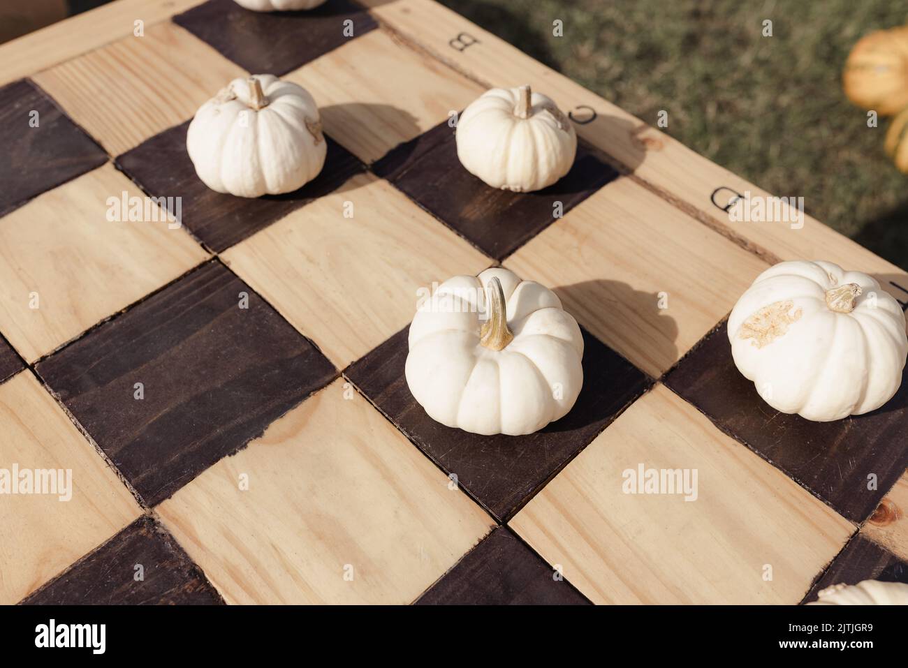 Piccole zucche bianche di Halloween come decorazione del giardino su una scacchiera o una scacchiera di legno classica. Halloween e Thanksgiving idee fai da te naturali per la casa e il concetto di celebrazione. Messa a fuoco selettiva Foto Stock