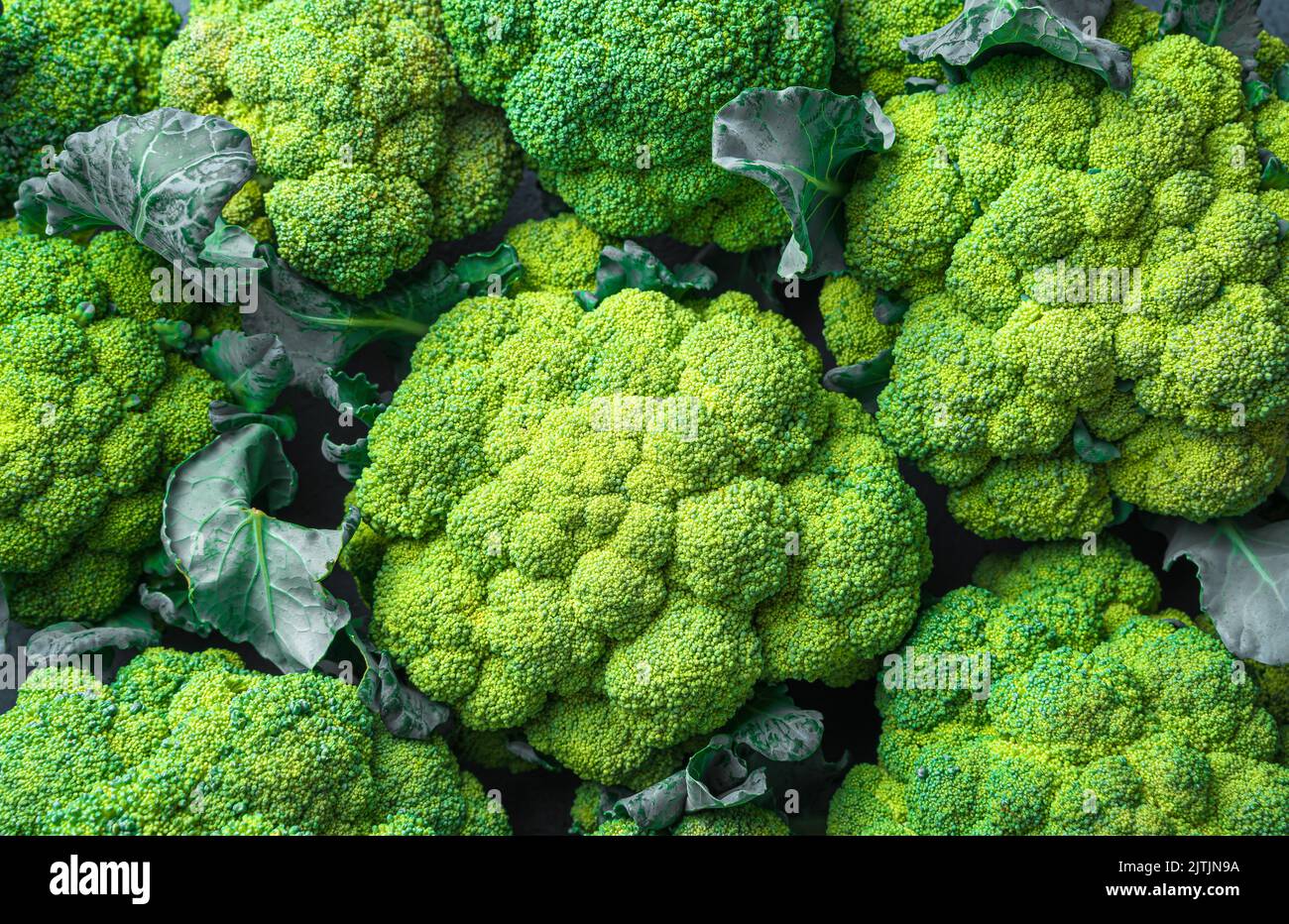Primo piano di broccoli freschi. Cibo sano. Vista dall'alto Foto Stock