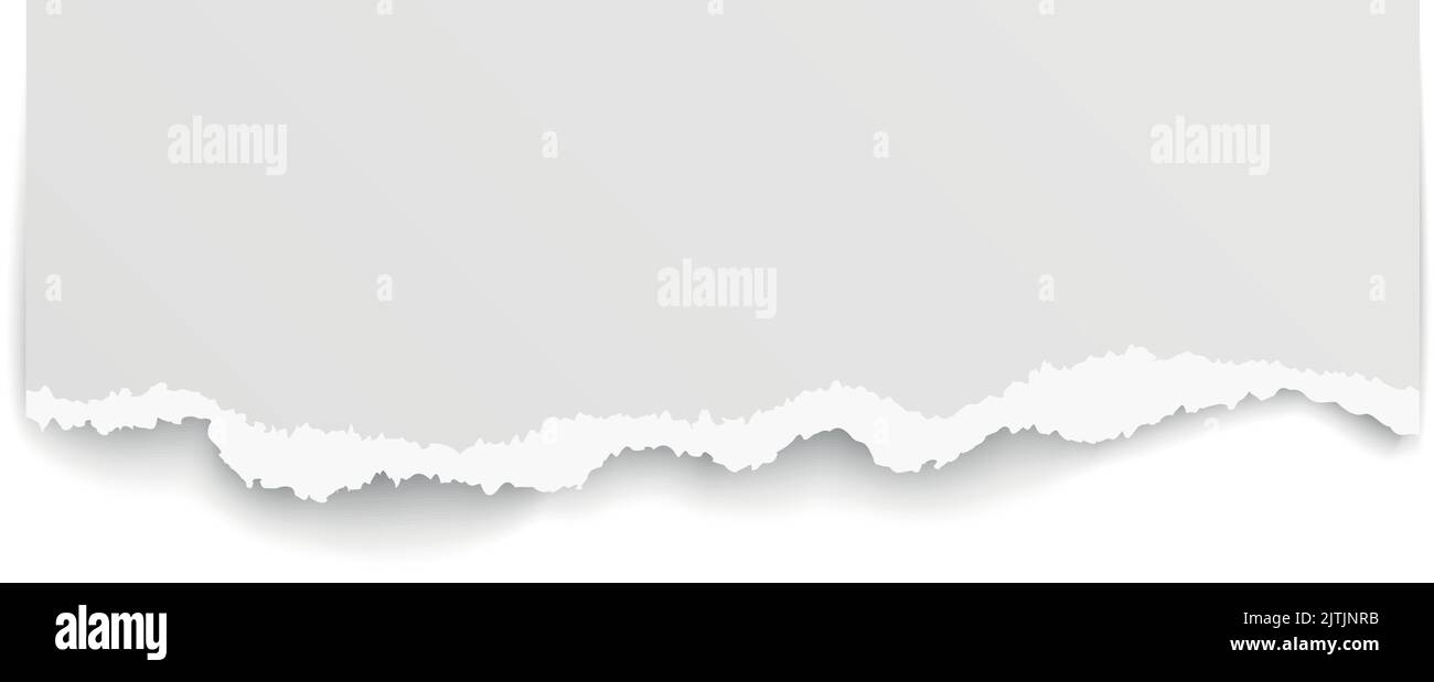 Scarti di carta strappati. Nota vuota con bordo strappato Illustrazione Vettoriale