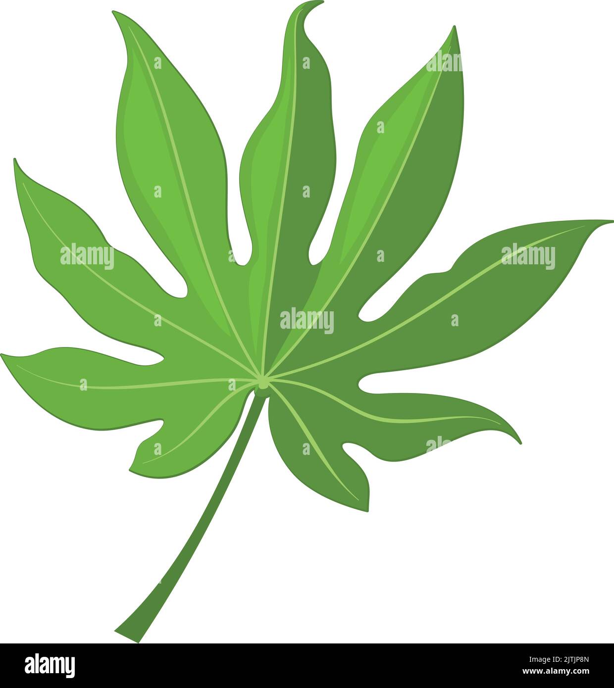 Lamella fan del palmo. Verde giungla albero fogliame Illustrazione Vettoriale