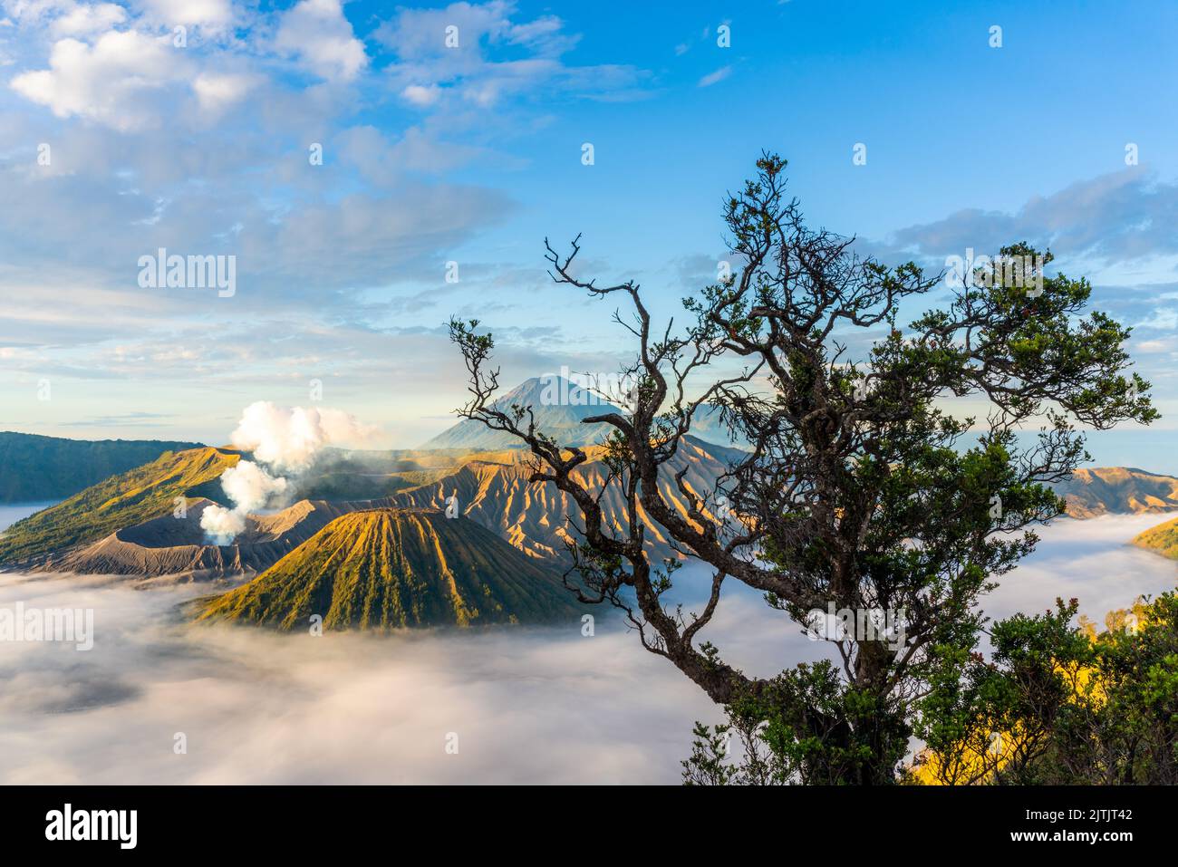 Alba al vulcano bromo, isola di Giava, Indonesia. Foto Stock
