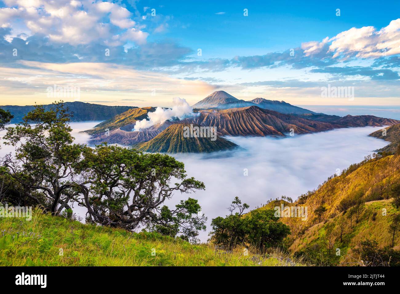 Alba al vulcano bromo, isola di Giava, Indonesia. Foto Stock