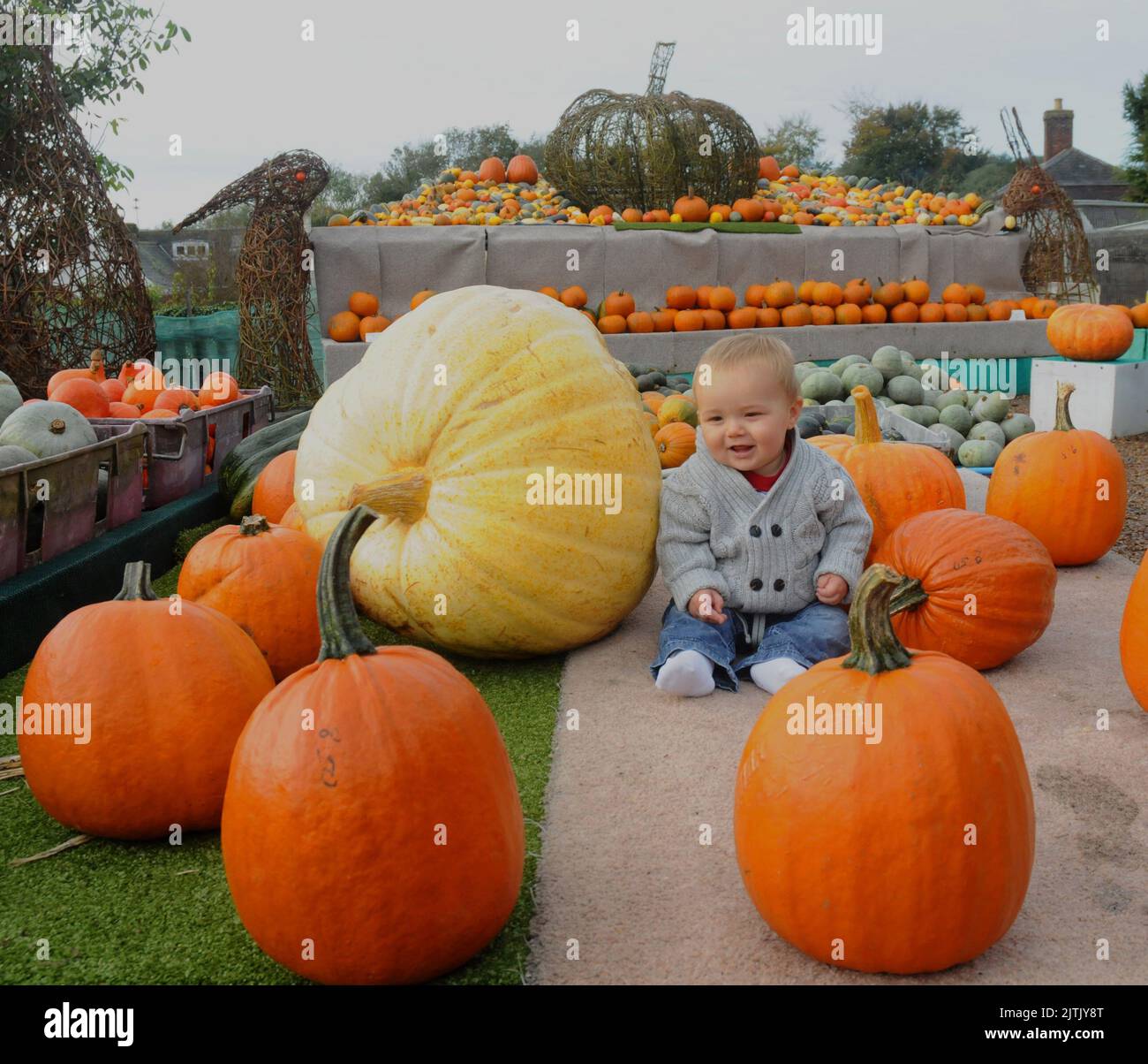 P.P. PRENDI UNA ZUCCA. HARRY WILMOTT DI 9 MESI AL NEGOZIO DI ZUCCA DI SLINDON, SUSSEX OCCIDENTALE SI PREPARA PER IL SUO PRIMO HALLOWEEN. PIC MIKE WALKER, 2012 FOTO DI MIKE WALKER Foto Stock