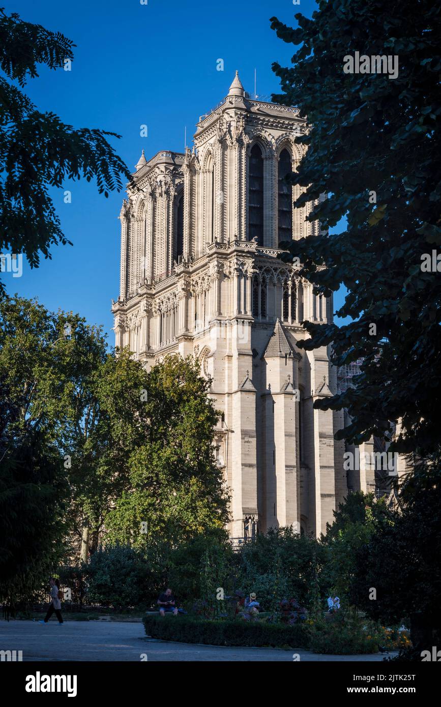 Cathédrale Notre-Dame de Paris, cattedrale del 13th ° secolo, Parigi, Francia Foto Stock