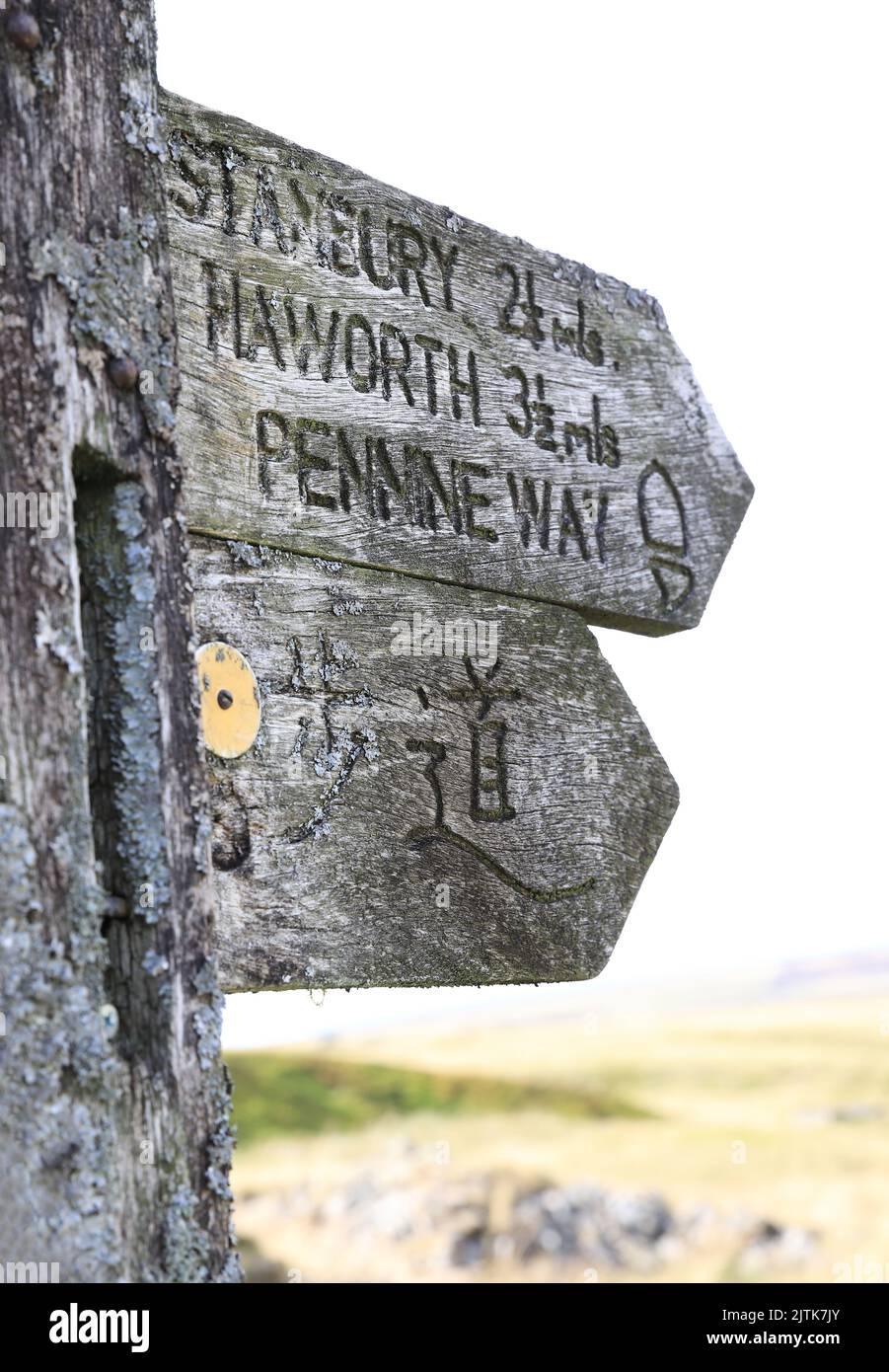 Cammina da Stanbury sulle Yorkshire Dales, passando per Bronte Way fino alla Top Withins Farm, l'ambiente che ha ispirato le "alture di Wuthering" di Emily Bronte. Foto Stock