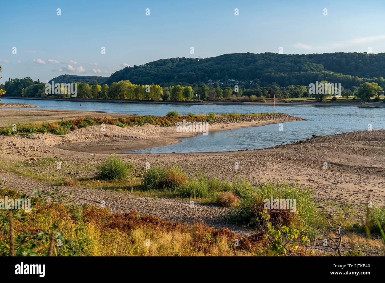 Il Reno in acque estremamente basse, vicino a Bad Honnef Rhöndorf, sotto Drachenfels, Nonnenwerth Island, Reno rive asciutte, nave da carico, con molto ridotto Foto Stock