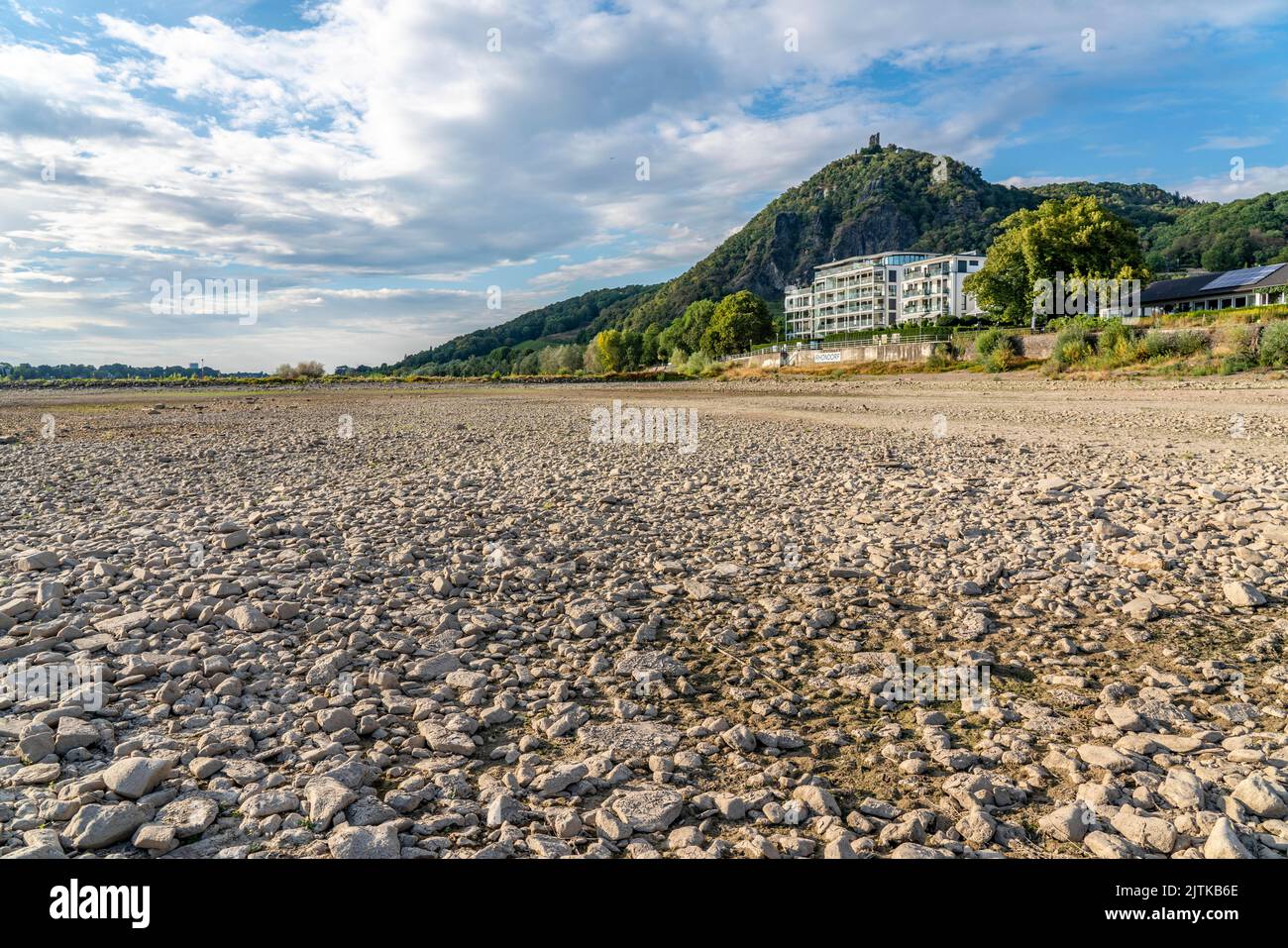 Il Reno in acque estremamente basse, vicino a Bad Honnef Rhöndorf, sotto il Drachenfels, l'isola di Nonnenwerth, le rive secche del Reno, NRW, Germania, Foto Stock