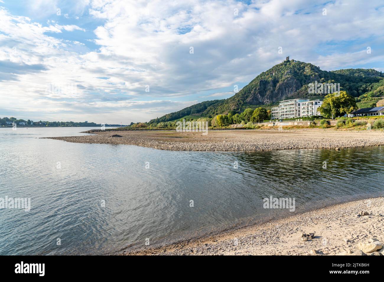 Il Reno in acque estremamente basse, vicino a Bad Honnef Rhöndorf, sotto il Drachenfels, l'isola di Nonnenwerth, le rive secche del Reno, NRW, Germania, Foto Stock