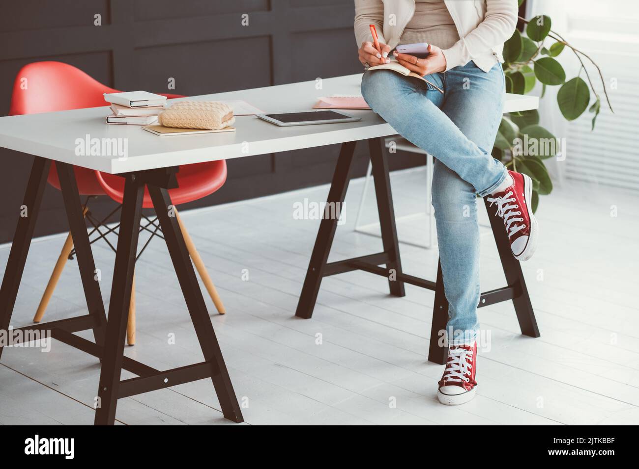 soddisfazione del lavoro freelance flessibilità esperto smm Foto Stock