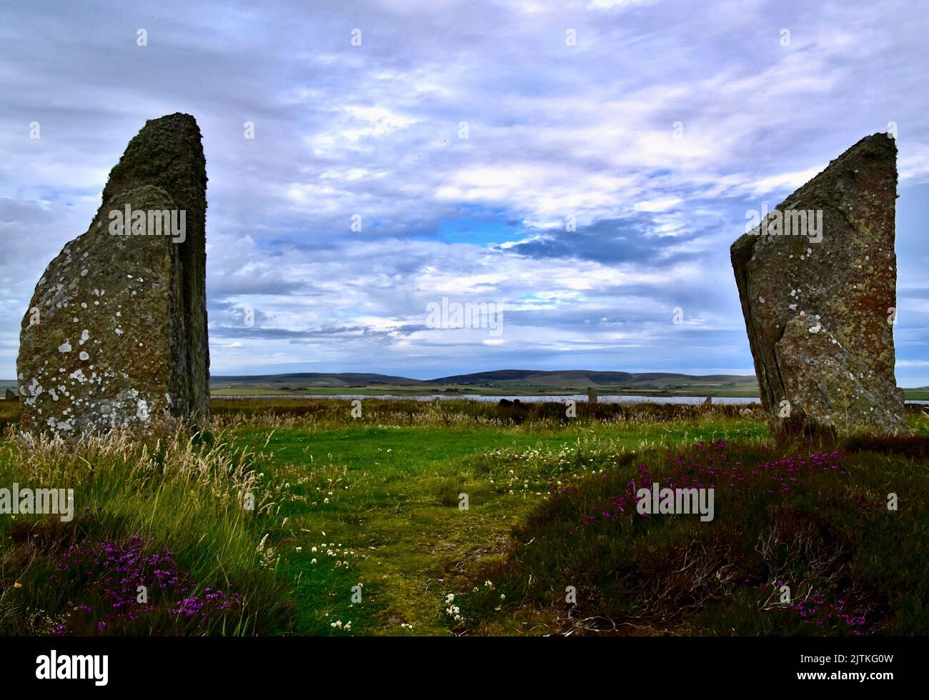 Due delle pietre erette dell'anello di Brodgar Neolitico. Foto Stock