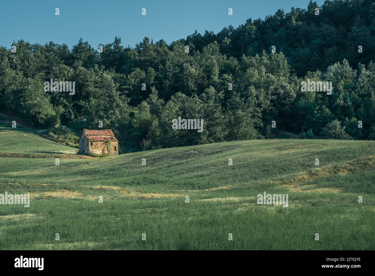 Vecchia casa rurale abbandonata e danneggiata ai margini del bosco. Monghidoro, Provincia di Bologna, Emilia-Romagna, Italia Foto Stock