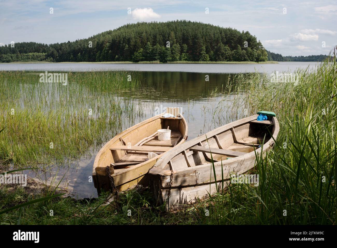 Paesaggio sereno nella natura selvaggia - le rive del lago Krivoe in Bielorussia Foto Stock