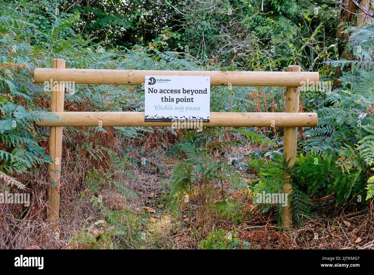 Loynton Moss Foto Stock