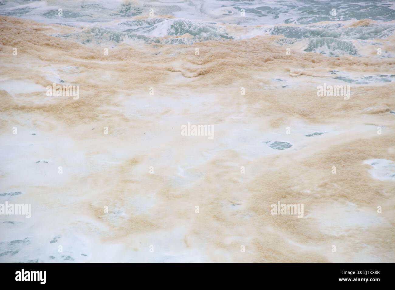 Schiuma gialla da un'onda alla spiaggia di leblon a Rio de Janeiro Brasile. Foto Stock