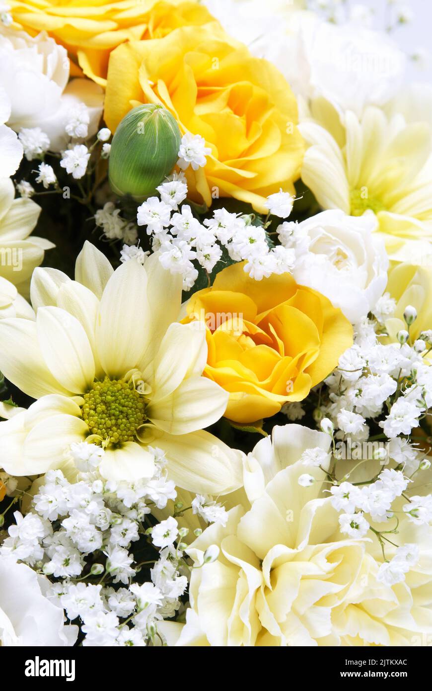 Primo piano boquet di fiori gialli e bianchi Foto Stock