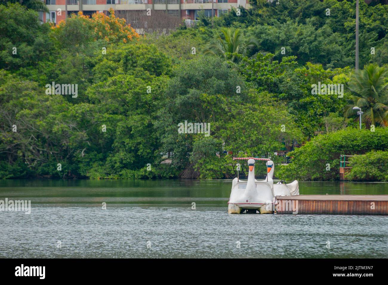 Pedalò presso la laguna di Rodrigo de Freitas a rio de janeiro, Brasile. Foto Stock