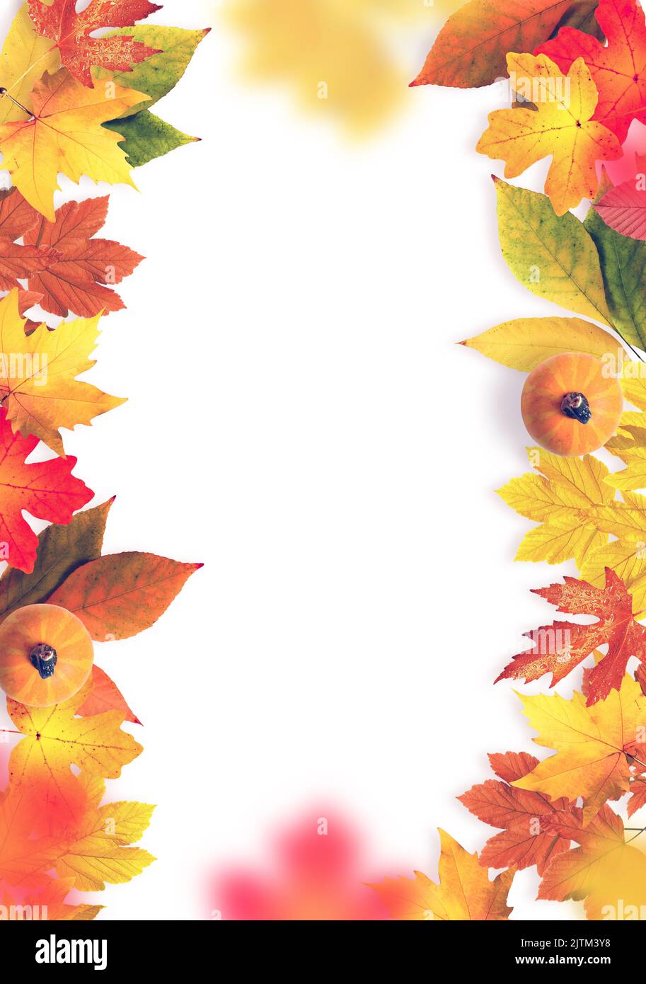 Foglie colorate autunnali isolate su sfondo bianco. Concetto autunnale. Foto Stock