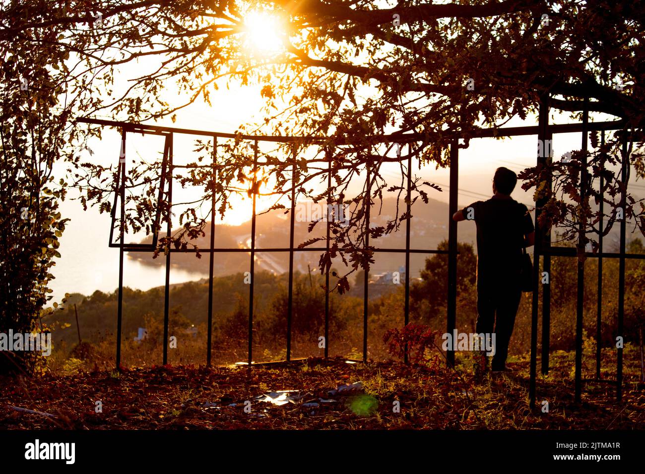 Un uomo pensante che guarda il tramonto. Uomo e albero silhouette girato in controluce . Si affaccia sul tramonto. Arancione e messa a fuoco autumn.selective. Foto Stock