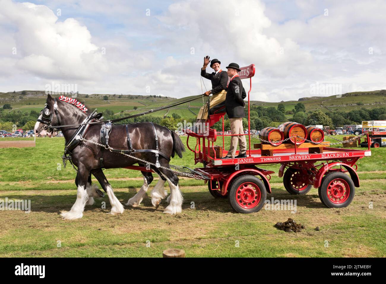 The Thwaites Brewery Shire Horse-drawed Dray al Kilnsey Show, Yorkshire Dales National Park, Regno Unito Foto Stock