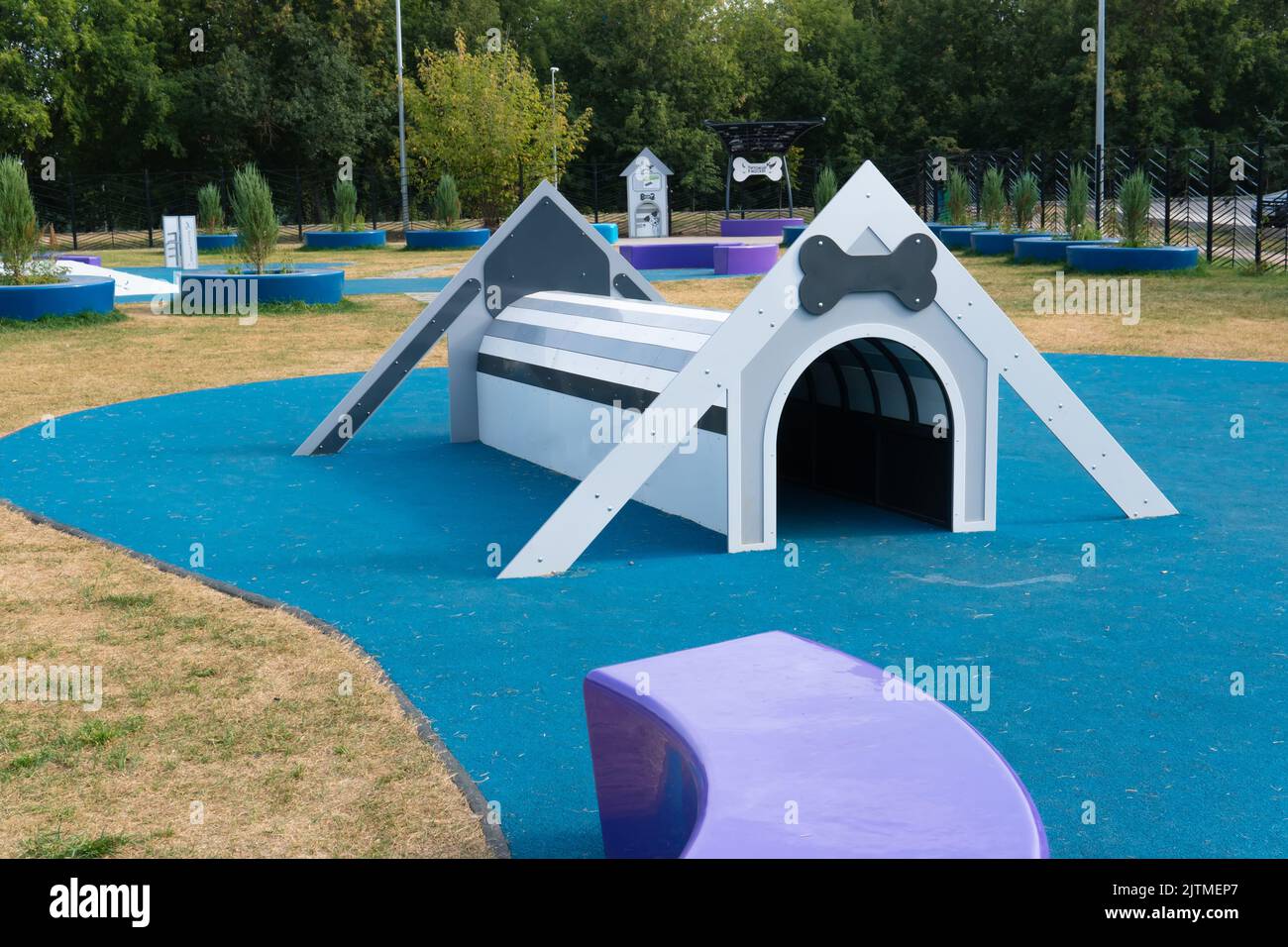 RUSSIA, MOSCA - 28 AGOSTO 2022: Cane animale domestico addestramento parco passeggiata area divertimento cucciolo, per il gioco di attrezzature dal personaggio icona giocattolo, agilità attiva Foto Stock