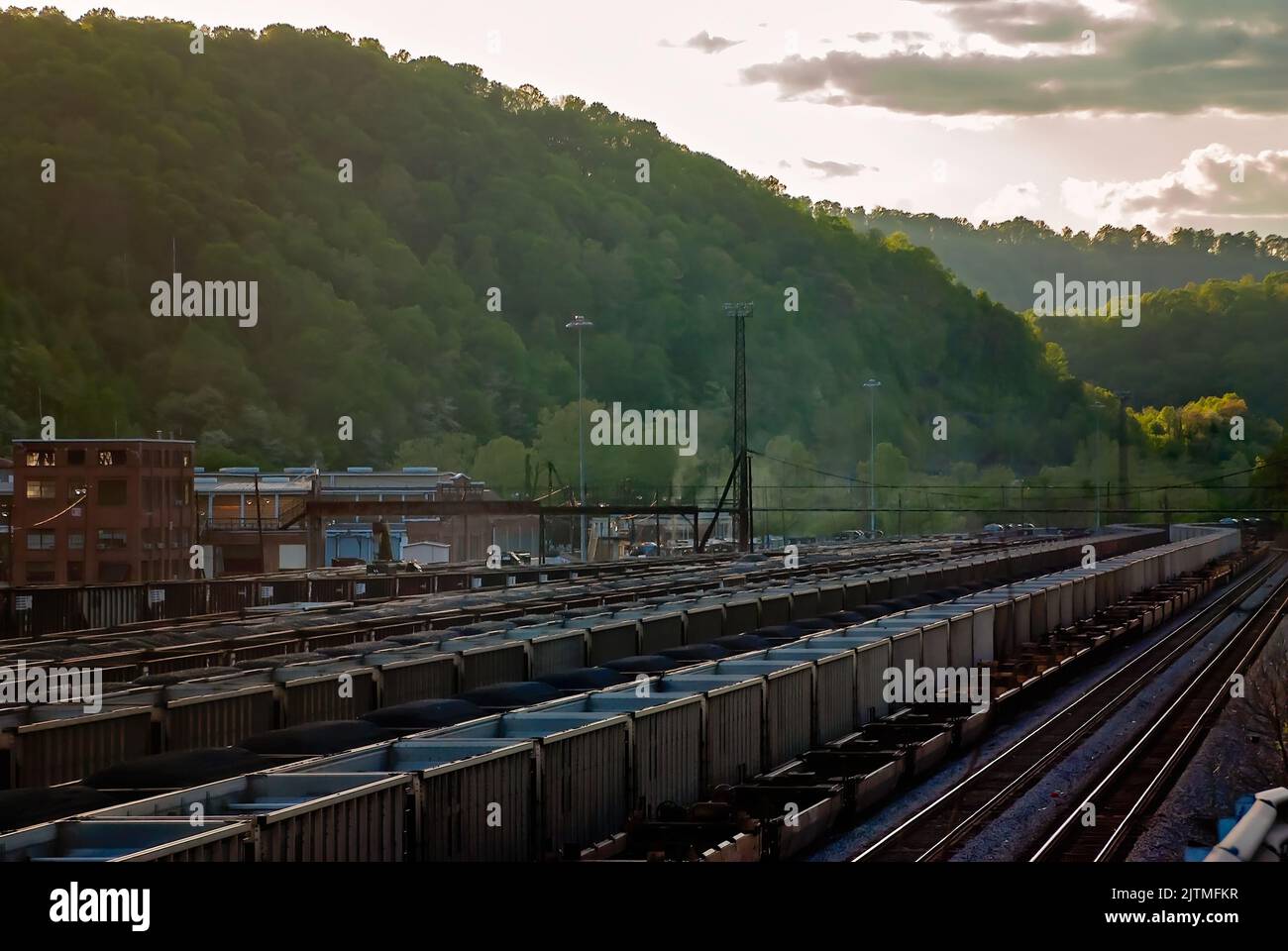 Le auto Norfolk Southern Railway riempite di carbone sono raffigurate presso il williamson railyard, 28 aprile 2010, a Williamson, West Virginia. Foto Stock