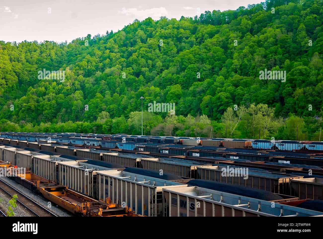 Le auto Norfolk Southern Railway riempite di carbone sono raffigurate presso il williamson railyard, 28 aprile 2010, a Williamson, West Virginia. Foto Stock