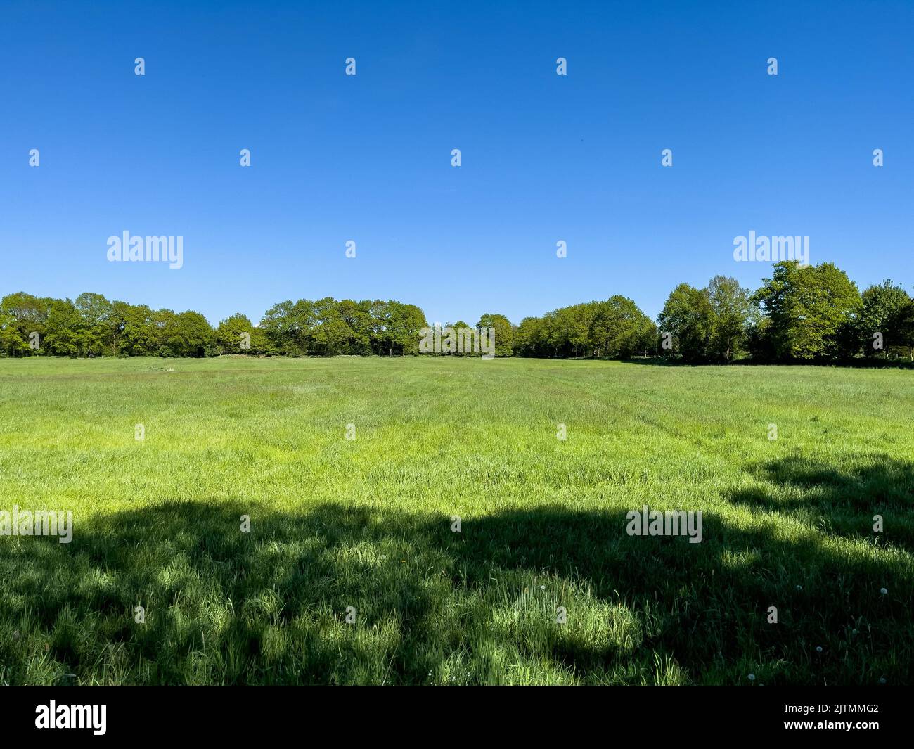 Una bella vista di un campo in una giornata di sole nel nord della Germania, Schleswig-Holstein Foto Stock