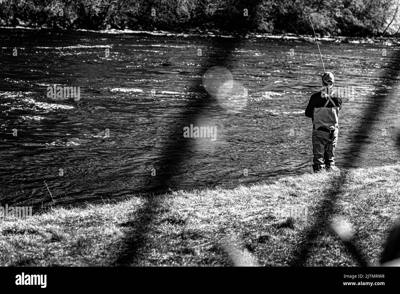 Un colpo in scala di grigi di un pescatore che pesca in un fiume Foto Stock