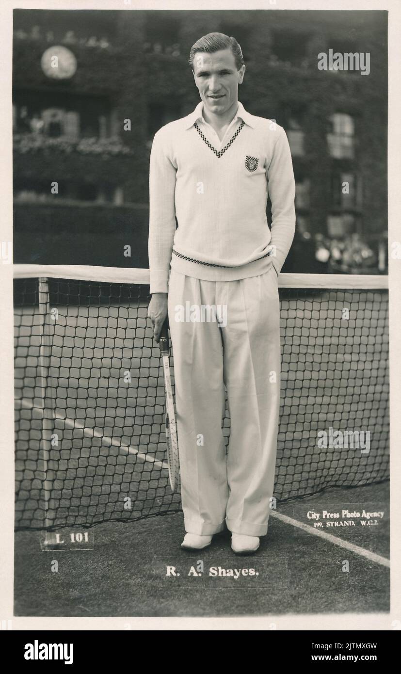 Cartolina vintage di Ronald Shayes, tennista della Coppa Davis nel 1938 e nel 1939. È stato ucciso durante il suo addestramento di RAF in 1940. Foto Stock