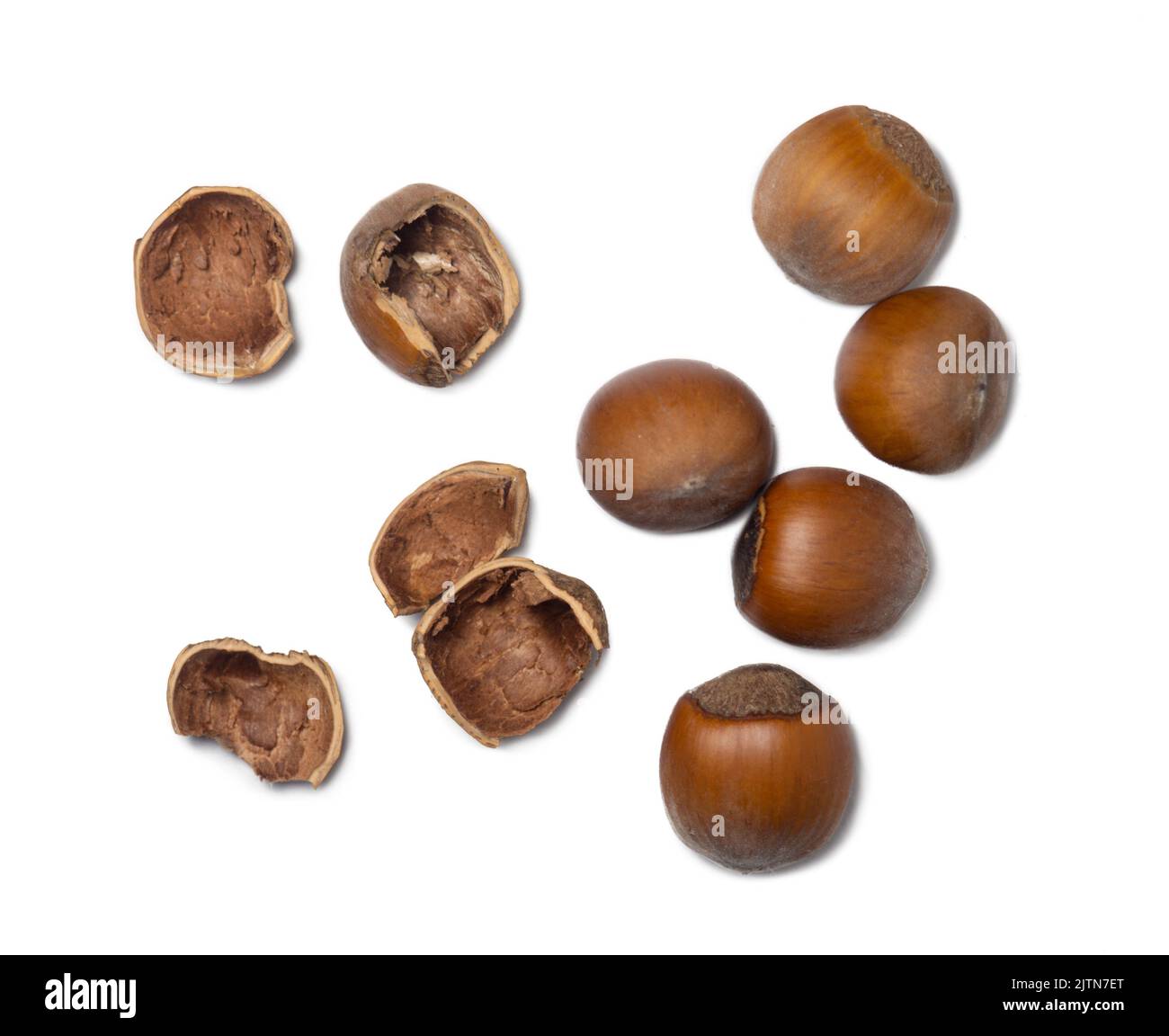 Nocciola intera. Nocciole tagliate su sfondo bianco. Dadi in un guscio. Dieta sana. Ingrediente per cibo vegano. Foto Stock