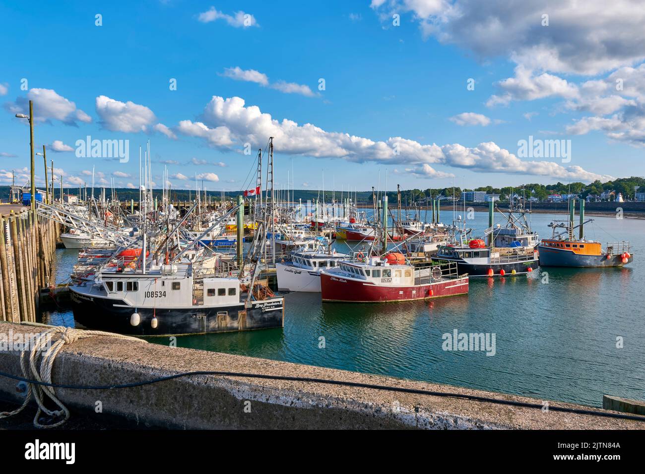 Barche ormeggiate al Digby Wharf con la bassa marea. Situato sulla baia di Fundy, Digby è ben noto per la sua grande flotta di pesca di capesante e aragoste. Foto Stock