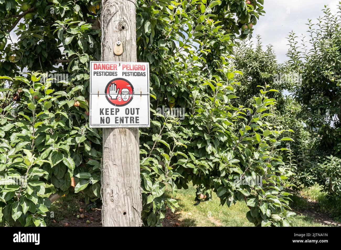 Un cartello che avverte le persone in inglese e spagnolo di non entrare nel frutteto di mele a causa dell'applicazione di pesticidi Foto Stock