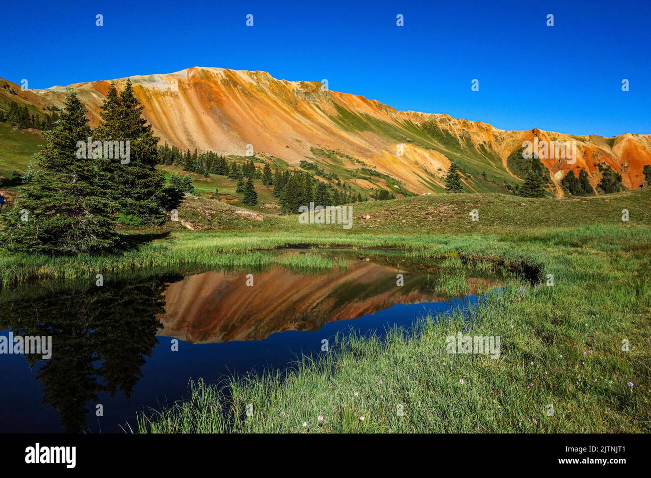 Le Red Mountains intorno a Ouray, Colorado, ottengono la loro colorazione da Iron ore Foto Stock