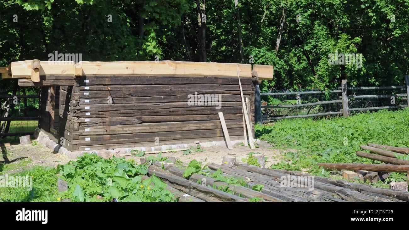 Capannone rurale incompiuto nella foresta estiva Foto Stock