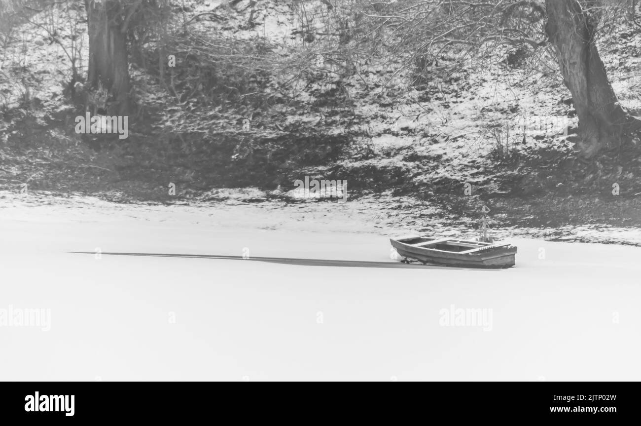 Isola del Danubio Sodros vicino a Novi Sad, Serbia. Paesaggio bianco e grigio con alberi innevati e acqua ghiacciata. Foto Stock