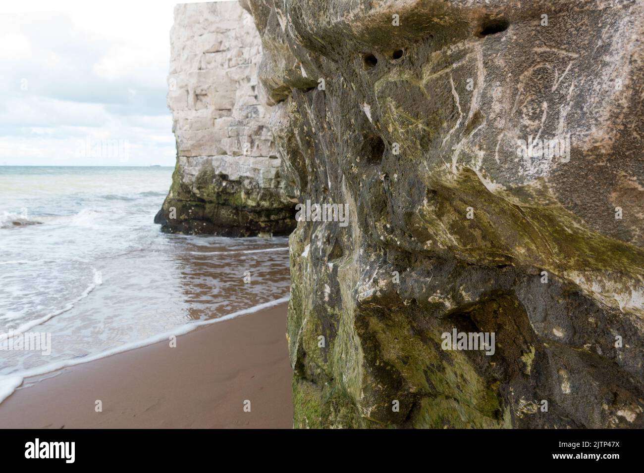 Dettagli della scogliera di gesso bianco a Botany Bay, Kent, Regno Unito Foto Stock
