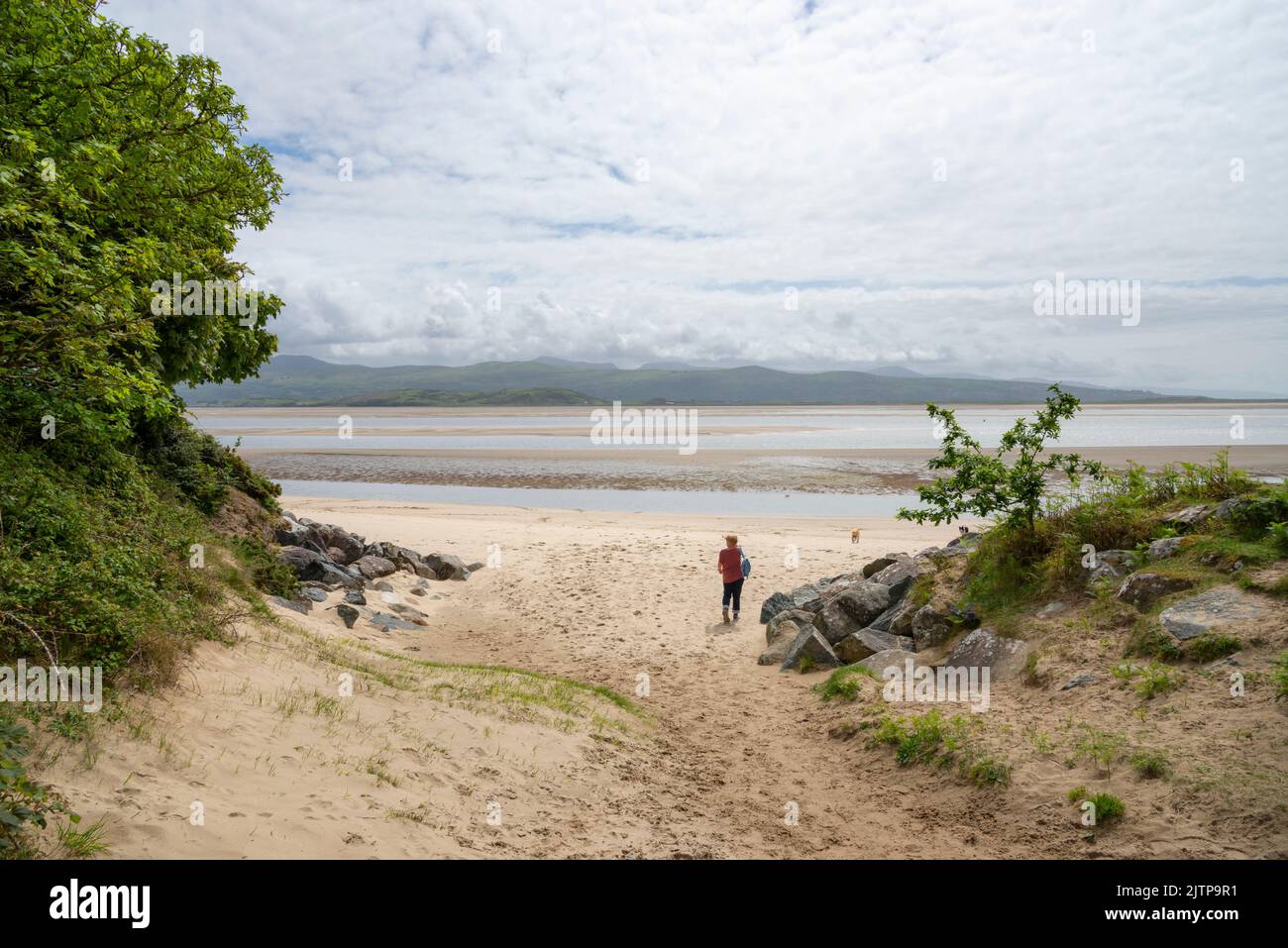 La donna e il suo cane si godono la spiaggia vicino a Borth-y-Gest che si affaccia sull'estuario di Glaslyn sulla costa del Galles del Nord. Foto Stock