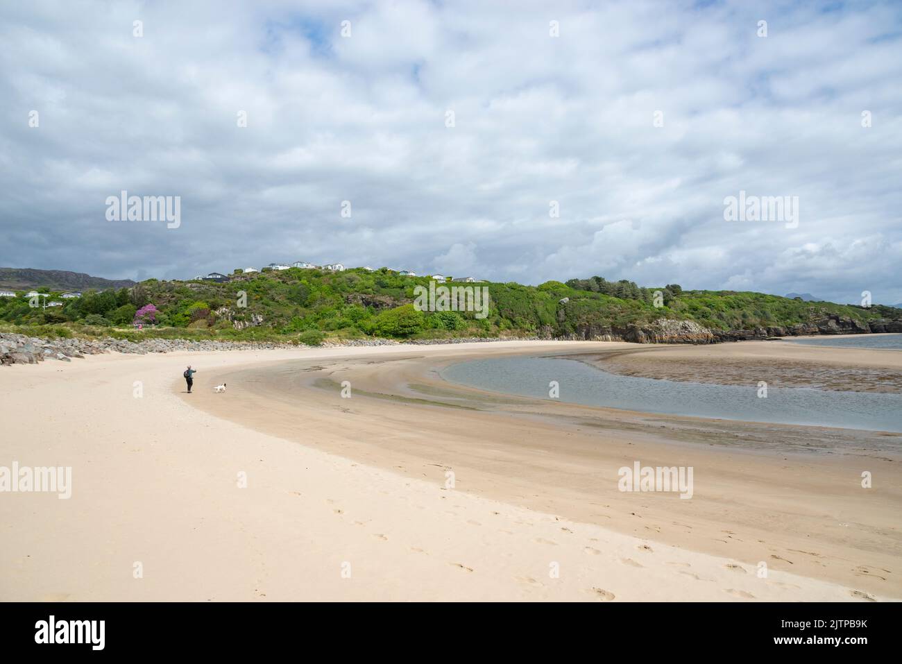 Donna e il suo cane sulla spiaggia tra Borth-y-Gest e Ynys Cyngar vicino a Morfa Bychan, Galles del Nord. Foto Stock