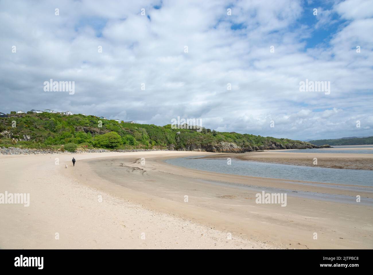 Donna e il suo cane sulla spiaggia tra Borth-y-Gest e Ynys Cyngar vicino a Morfa Bychan, Galles del Nord. Foto Stock