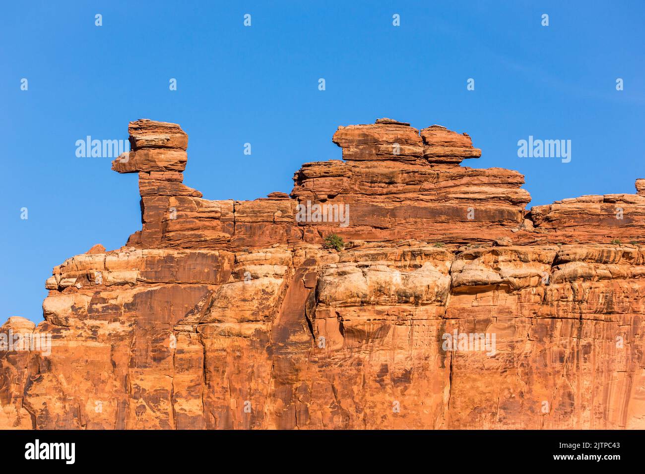 Formazioni rocciose nell'arenaria di Entrada nell'Hell Roaring Canyon vicino a Moab, Utah. Foto Stock