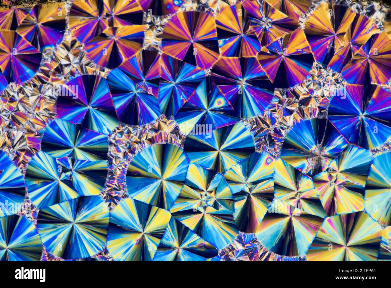 Termofondente per vetrini cristallini chimici Salicene, fotomicrografia polarizzata a croce Foto Stock