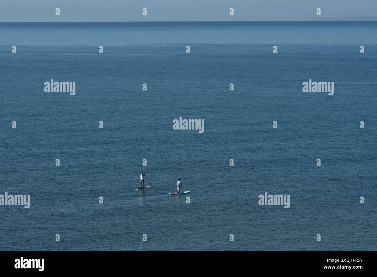 Paddle-boarding al largo della costa del Devon Foto Stock