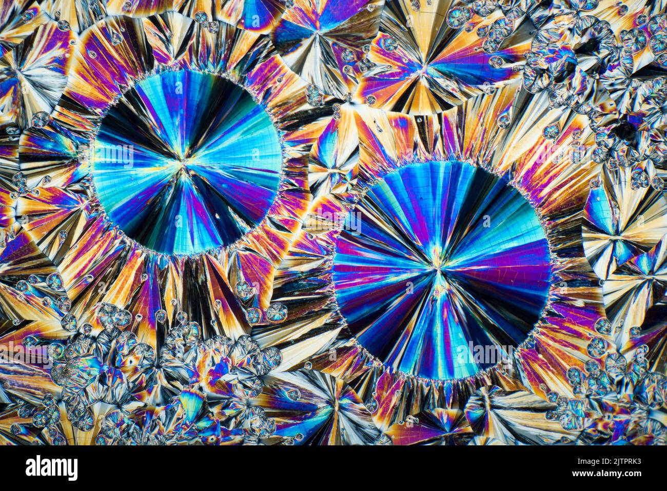 Termofondente per vetrini cristallini chimici Salicene, fotomicrografia polarizzata a croce Foto Stock